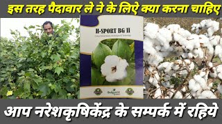 BT CROP COTTON SEEDS H-SPORT BG|| ALL INDIA NO 1 VERAITY COTTON