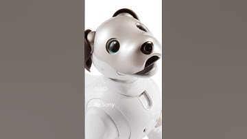 Aibo, By Sony, #design #industrialdesign #sony #aibo #dog