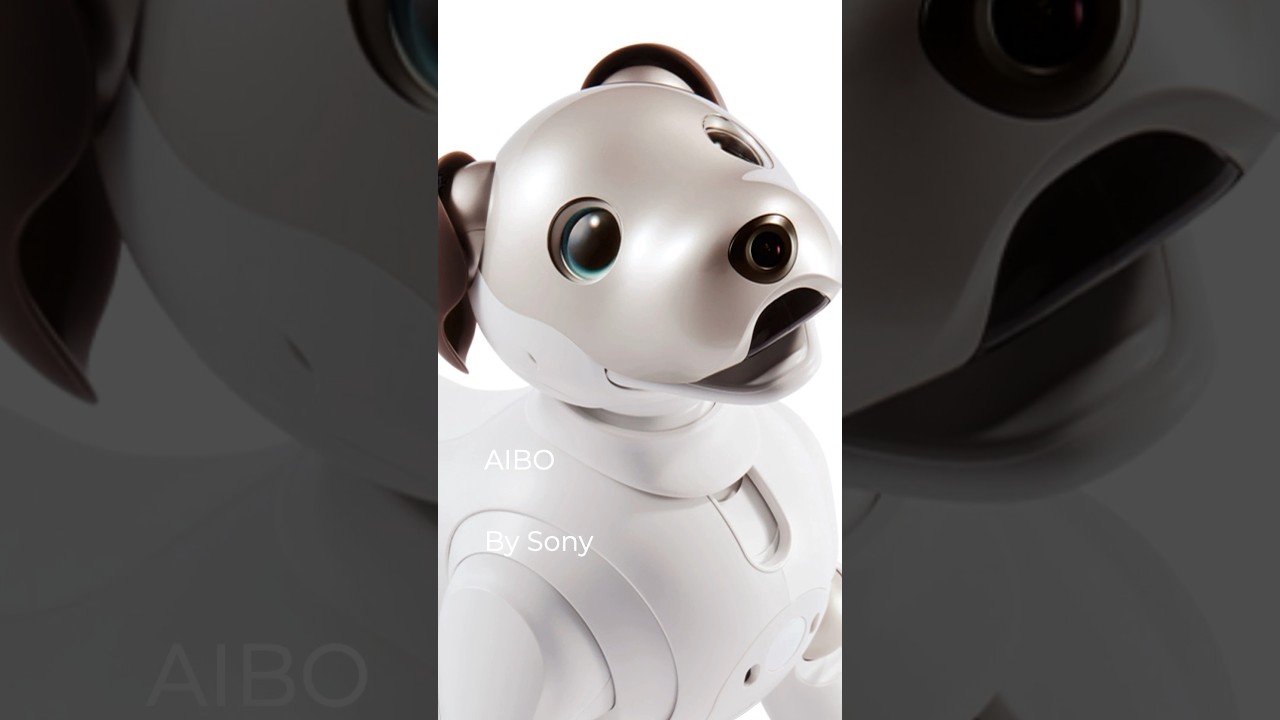 Aibo, By Sony, #design #industrialdesign #sony #aibo #dog