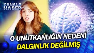 O Unutkanlığın Nedeni Dalgınlık Değilmiş Beyin Film Gibi Değil, Dizi Gibi Depoluyor Resimi