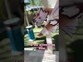 ✨Mini Dragon puppet ✨#How to make a dragon puppet !!! :3