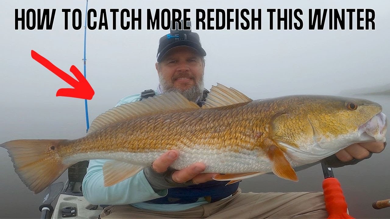 Where To Sight Fish For Redfish In The Winter