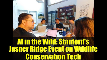 AI in the Wild: Stanford
