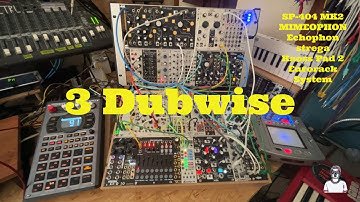 3 Dubwise / Make Noise Strega Echophon Mimeophon / Modular Synth / Roland SP404 MK2 モジュラーシンセ Lo-fi