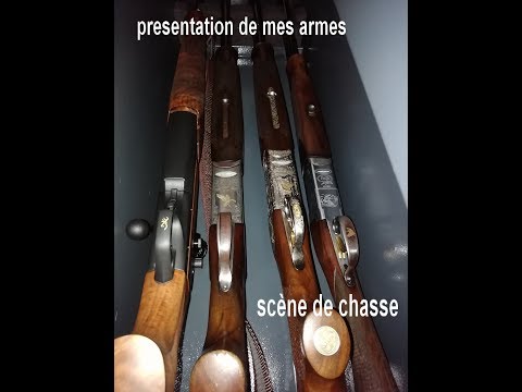 la chasse , les armes une passion