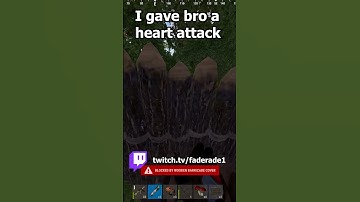 I gave bro a heart attack  #rust