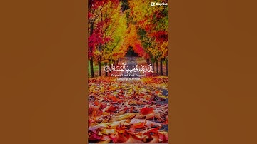 #سورة_القيامة #قرآن #قران_كريم #تلاوة_خاشعة#اكسبلور #حالات_واتس #دويتو @qurani-jannati