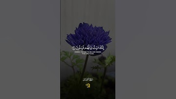تلاوة تهدئ الأعصاب من سورة الزمر للقارئ محمد الفقيه - أرح سمعك وقلبك ❤️‍🩹✨