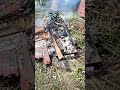 bakaq kayu anai anai