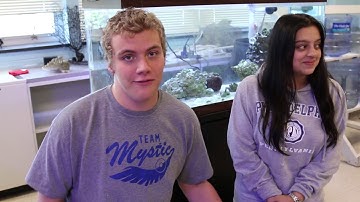 How to Make Your own Live Rock