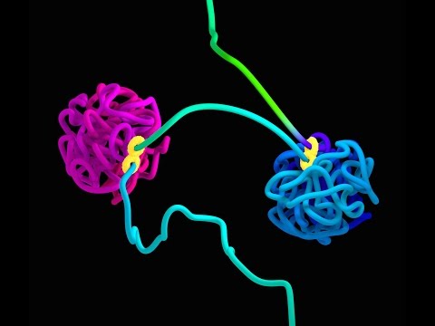 Video: Sequenz Der Matrixassoziationsregion / Gerüstanheftungsregion (MAR / SAR): Ihre Entscheidende Rolle Bei Der Vermittlung Von Chromosomenbrüchen In Nasopharyngealen Epithelzellen übe