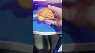 Las tortas de jamón #Tortadejamon #elchavodel8