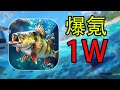 【合集】从零开始挑战钓万斤变异鱼，肝90小时看看效果如何