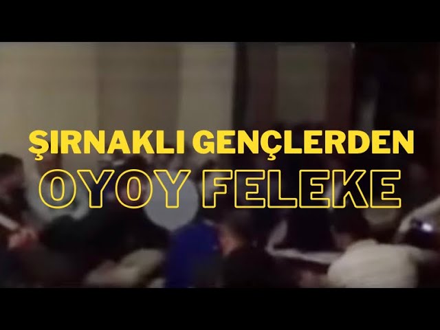 Şırnaklı Gençlerden Oy Oy Feleke Tiktok Yeni(Nu) 2023