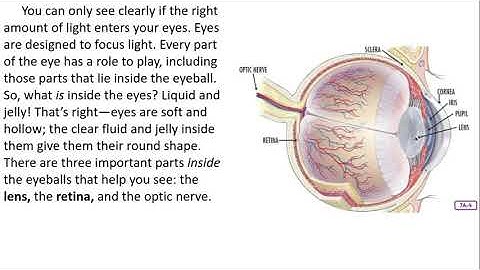 CKLA Unit 3 Lesson 7