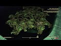 Where to find tarberry  wasted on lead champagne  fallout 76