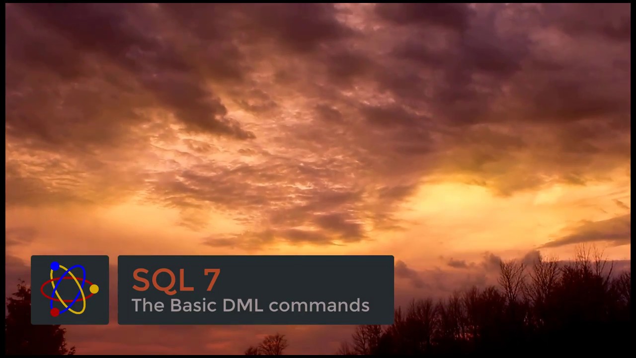 SQL - Basic DML