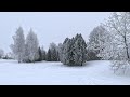 Winter Wonderland Meditations | Frost Trees &amp; Silent Recreation Areas | Touring my White Winter
