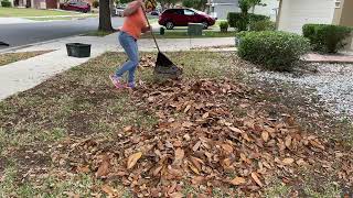 Spring Lawn & Leaf Transformation in HOA Community