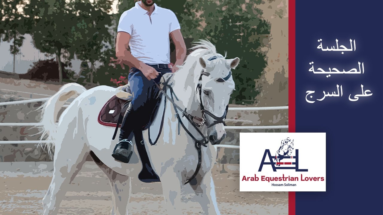 الجلسة المثالية على الخيل -  الطريقة الصحيحة للجلوس على السرج - الركوب الصحيح والخاطىء