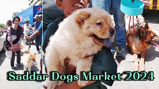 Aisha Naz is live! Saddar Dogs Market #live  #livestreaming #livestream  #saddardogsmarket #sunday