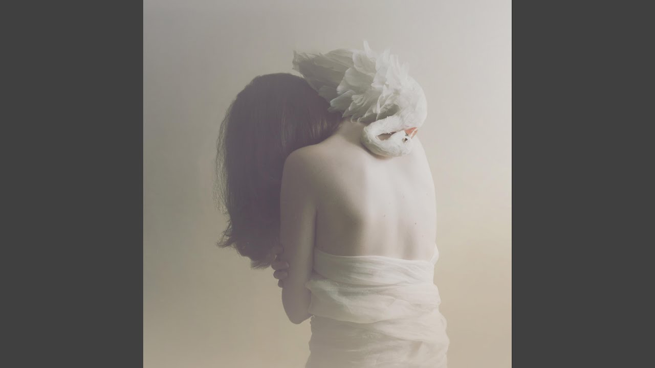 The Boy Who Didn't Want to Be Found