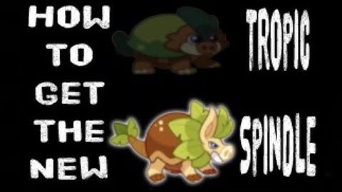 Prodigy Math Game | How to Get the NEW Tropic Spindle!