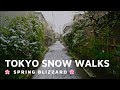 【4K】Tokyo Snow Walks - Spring Blizzard - Meguro, Tokyo, Japan - 2020 - 東京目黒