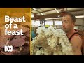 What does it take to be a shearers' cook? | Landline | ABC Australia