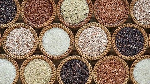 Utilizing Statistical Techniques for Assessing Genetic Variability and Diversity in Rice Germplasms