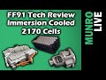 Immersion Cooled 2170 Cells, Parallel IGBT Inverter, Dual Rear Motor System:  Faraday FF91
