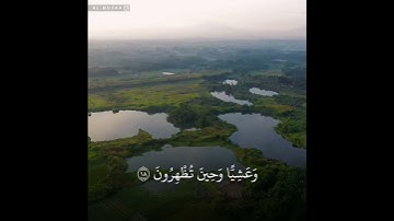 (فَسُبحانَ اللَّهِ حينَ تُمسونَ وَحينَ تُصبِحونَ) تلاوة بترتيل خاشع للقارئ : عبدالله الموسى