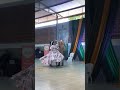 Cinthia Hernández &amp; Josué Jacinto (Grupo Folklórico Cuna de Honduras 🇭🇳)
