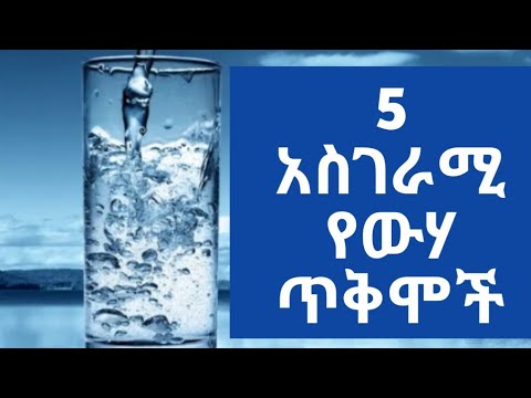 ቪዲዮ: የውሃ መንኮራኩር ምን ይባላል?