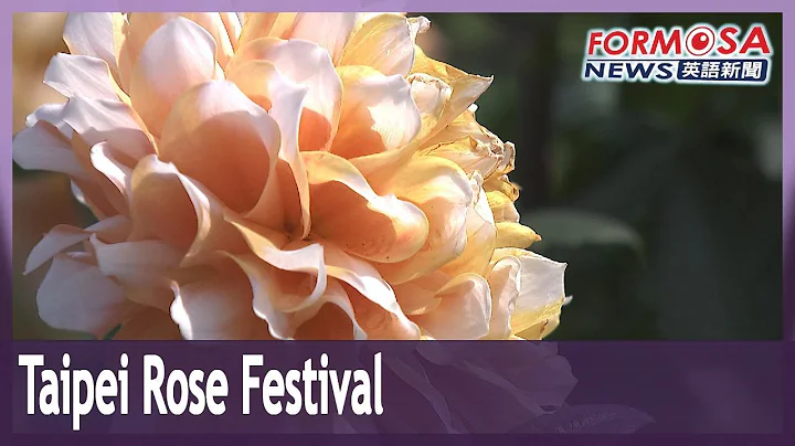 Taipei Rose Festival held till the end of March｜Taiwan News - DayDayNews