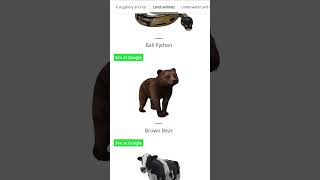 Google's AR Dogs are so CUTE screenshot 3