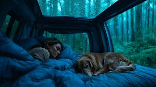 Heavy Rain & Thunder on Cozy Car ⛈️ Relaxing Rain Sounds for Deep Sleep screenshot 5