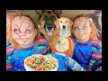 Chucky Surprises Puppy &amp; Police With Car Ride Chase!