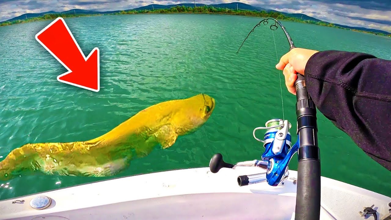 Je pêche ce poisson EXTRAORDINAIRE (et très rare) grâce à cette nouvelle technique !