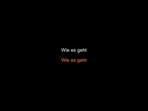 die ärzte - Wie es geht [Karaoke]