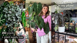i have too many plants, updates for may,  + houseplant essentials unboxing!