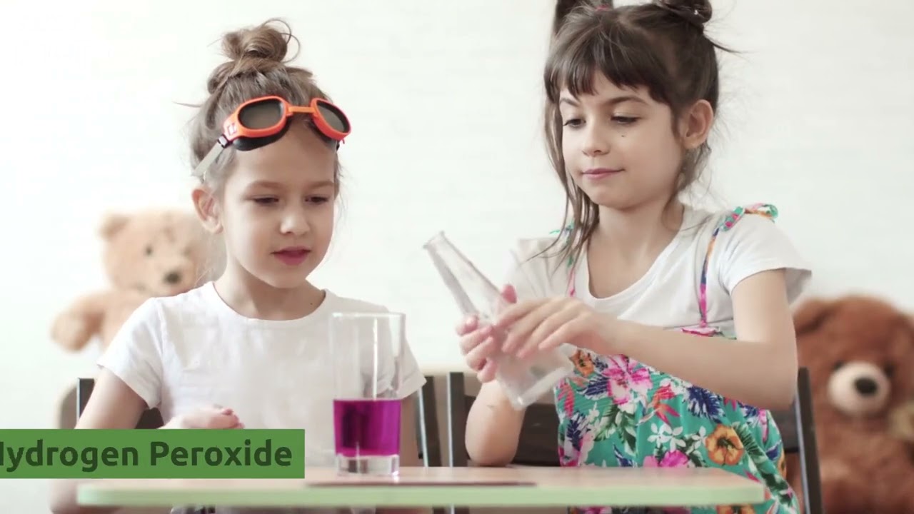 5 Best Ways to Clean Mold