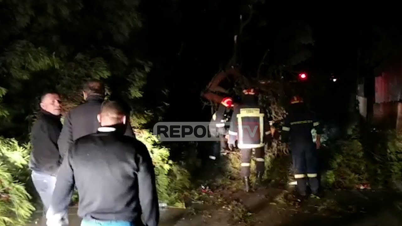 Report TV - Erërat e stuhishme rrëzojnë pemën, bllokohet gjatë natës dogana e Kakavijës