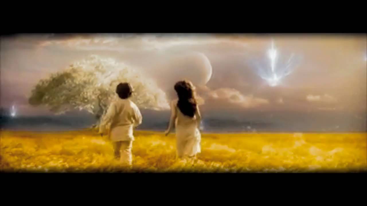 The Matrix of Illumination 2