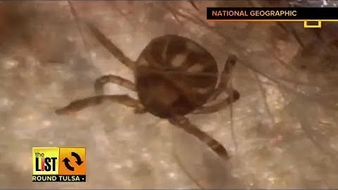 TULSA: Debunking tick myths