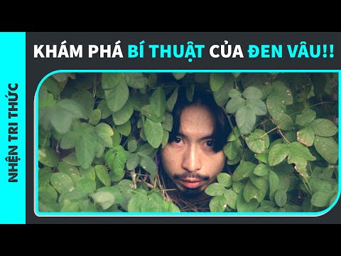 Video Em hỏi anh nhạc sao hay anh gọi nó là Bí Thuật? | Nhện... - youtube
