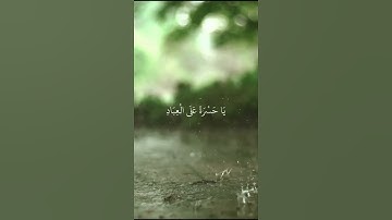 القرآن شفاء القلوب – تلاوة خاشعة تبعث الطمأنينة#القرآن #تلاوة_خاشعة #راحة_نفسية