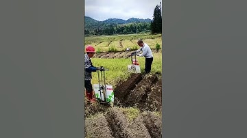 Smart Farming Tool Cultivation Techniques #shorts #farming