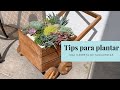 Tips para plantar /Plantando una linda carreta de Suculentas