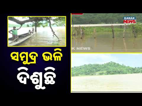 Angul Flood News | Four Villages Cut Off for 4 Days Due to Mahanadi Flood